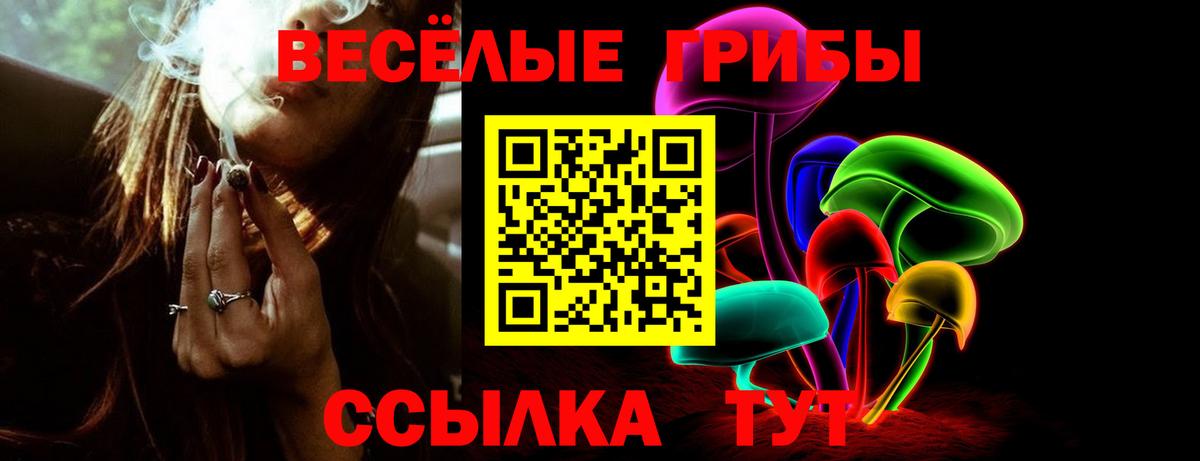 Галлюциногенные грибы Psilocybine cubensis  Псилоцибиновые грибы GOLDEN TEACHER  Вход с VPN  Рузаевка 