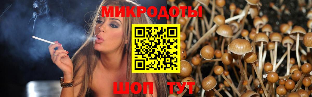 Галлюциногенные грибы Psilocybine cubensis Рузаевка